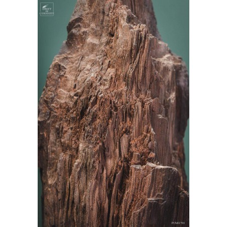 Crystallized fossil trunk -94kg