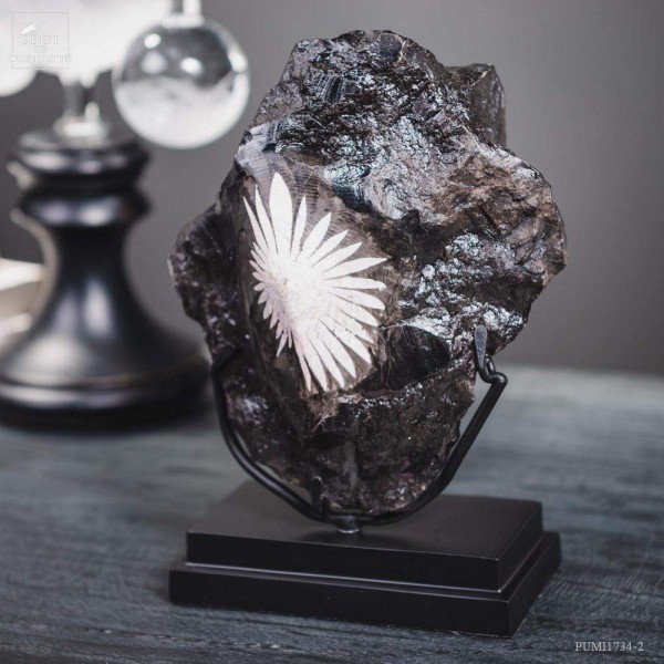 Chrysanthemum stone in matrix