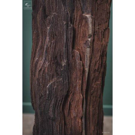 Tronc fossile cristallisé 80kg Tronc fossile cristallisé 80kg
