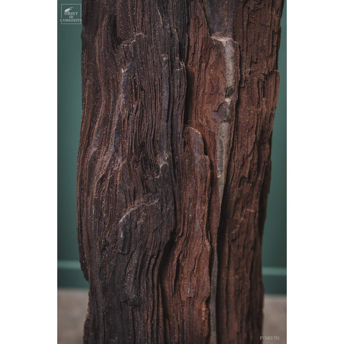 Tronc fossile cristallisé 80kg Tronc fossile cristallisé 80kg