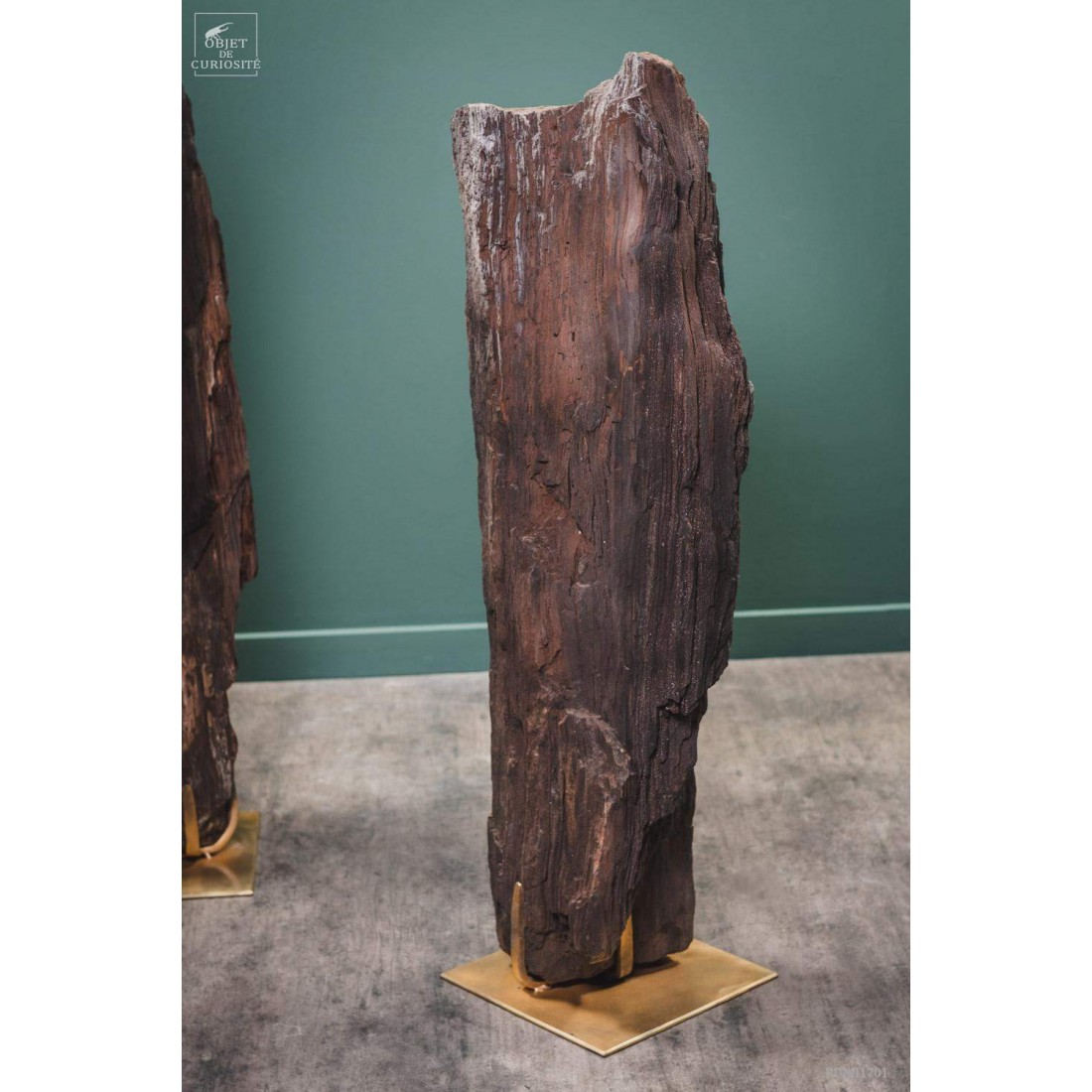 Tronc fossile cristallisé 80kg Tronc fossile cristallisé 80kg
