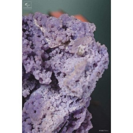 Purple Botryoidal chalcedony from Sulawesi