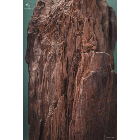 Crystallized fossil trunk -94kg