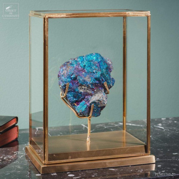 Chalcopyrite irisée (Mexique) sous globe