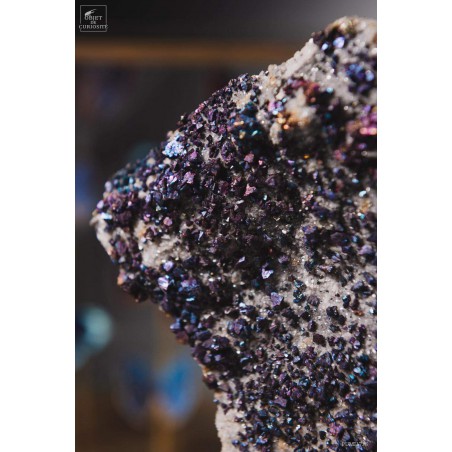 Chalcopyrite iridescent crystals (USA)