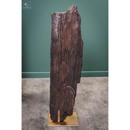 Tronc fossile cristallisé 80kg Tronc fossile cristallisé 80kg