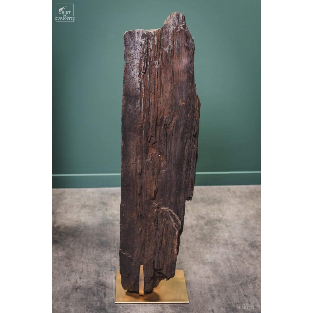 Tronc fossile cristallisé 80kg Tronc fossile cristallisé 80kg