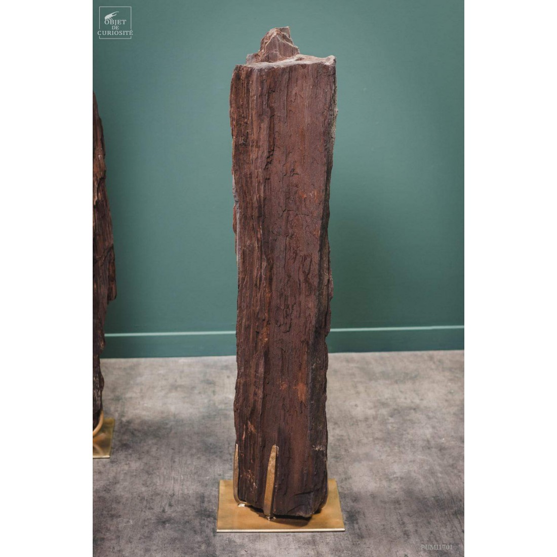 Tronc fossile cristallisé 80kg Tronc fossile cristallisé 80kg