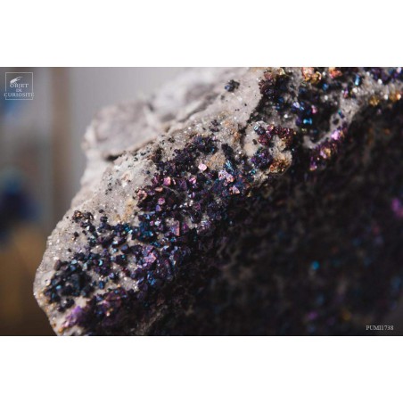 Chalcopyrite iridescent crystals (USA)