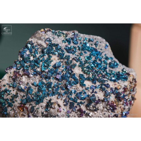 Chalcopyrite iridescent crystals (USA)