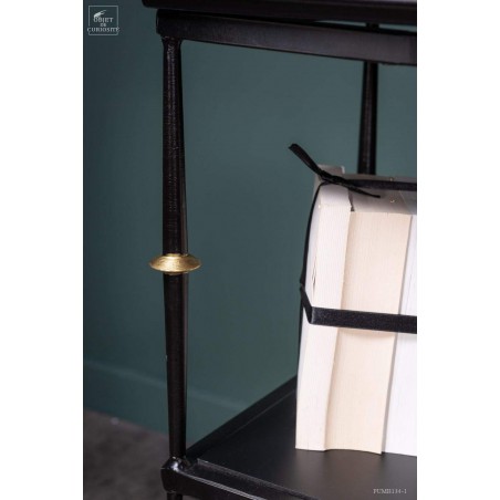 Real Henri II,  2 glass door display on wrought iron stand.