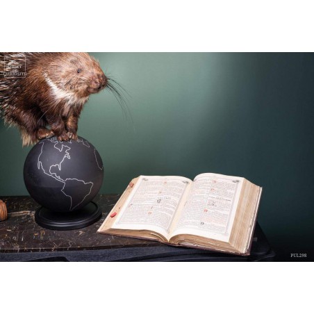 Old black book