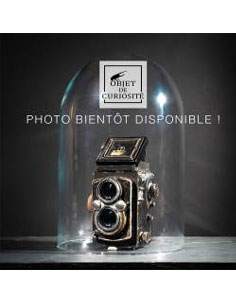 Météorite Seymchan...