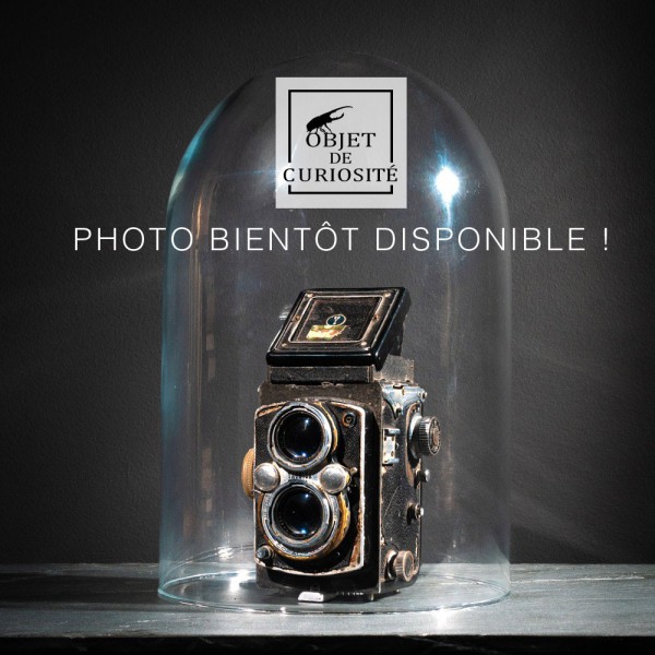 Météorite Seymchan (sidérite à...